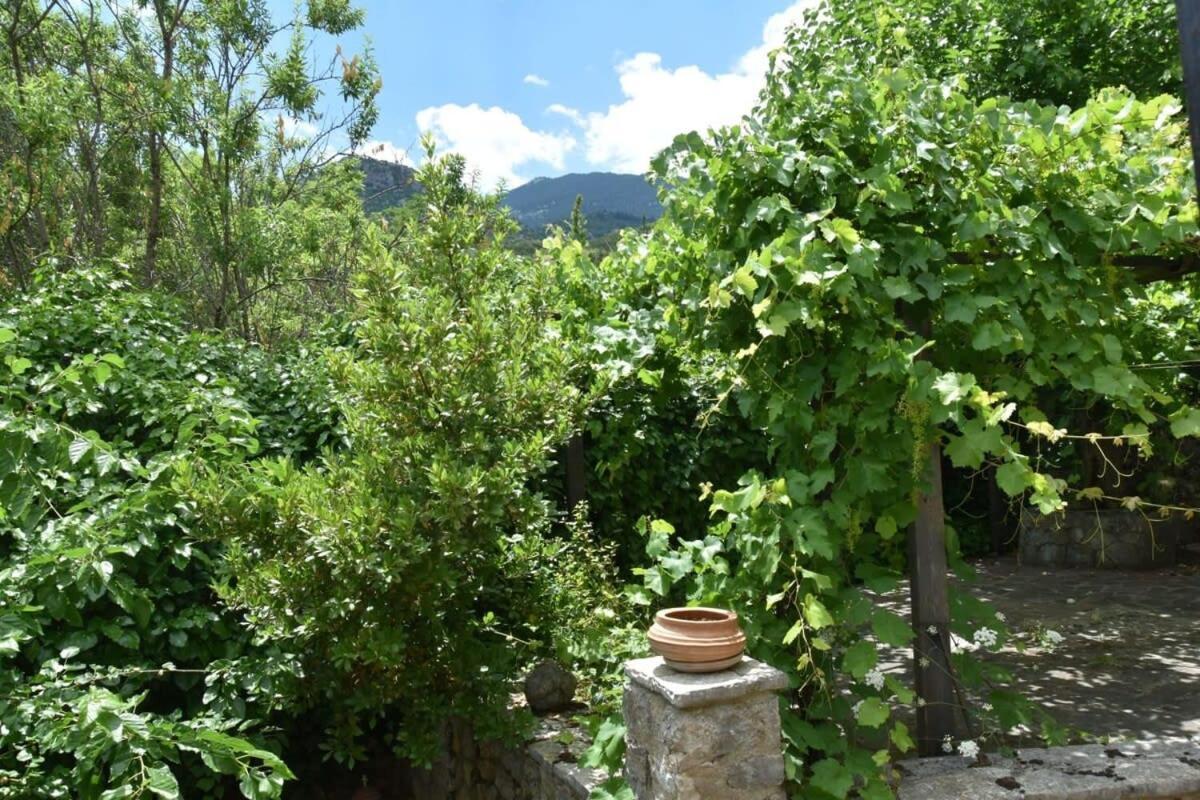 Mariolata Vintage Stone Villa - 4 Season Escape Dış mekan fotoğraf